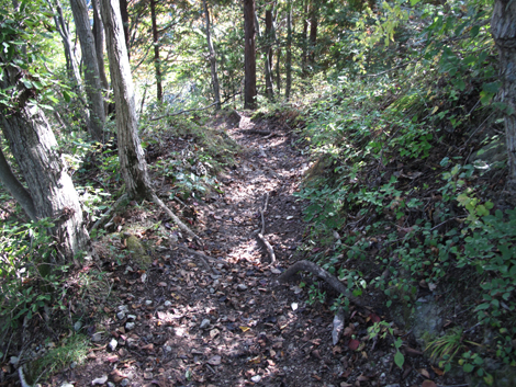 20161104hike (153)